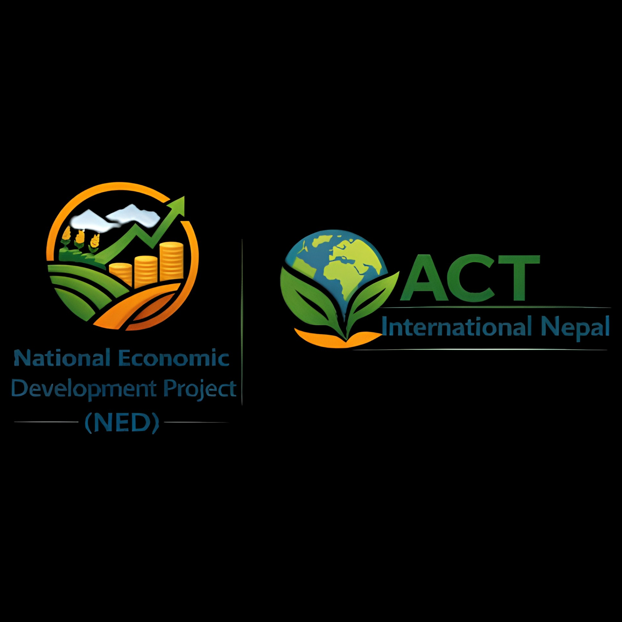 National Economic Development Project